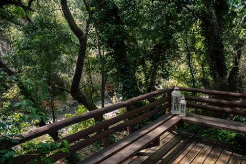 Garden, Balcony/Terrace