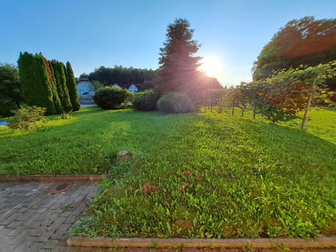 Day, Natural landscape, Garden, Garden view, Sunset