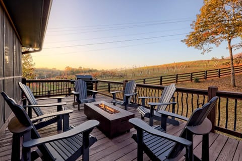 Vineyard Getaway 10 Min From Helen House in White County