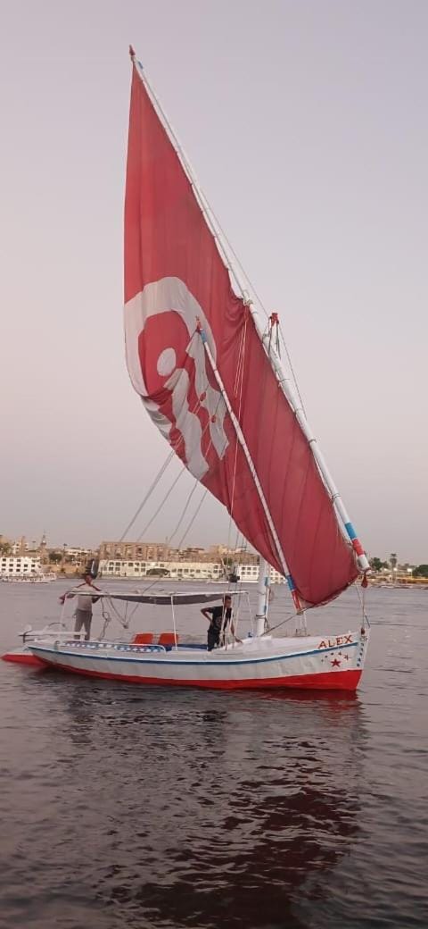 Alex Docked boat in Luxor Governorate