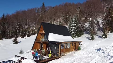 Gorska vila Vasilija House in Zlatibor District, Serbia