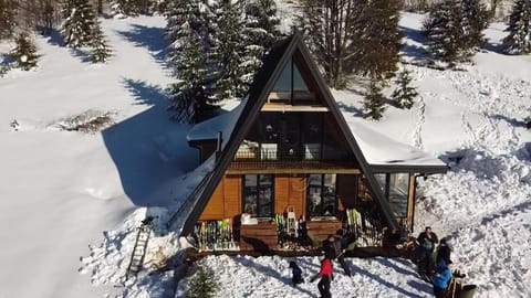 Gorska vila Vasilija House in Zlatibor District, Serbia