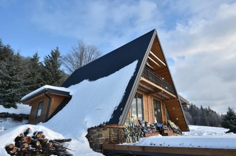 Gorska vila Vasilija House in Zlatibor District, Serbia