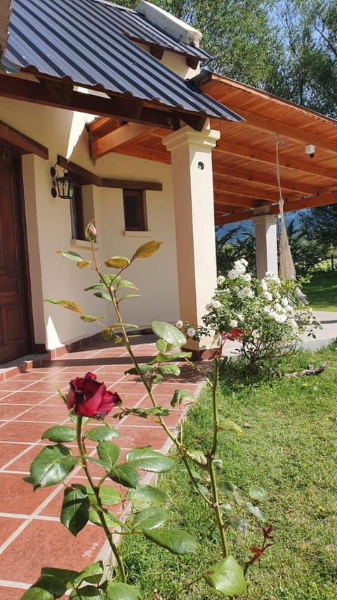 Patio, Balcony/Terrace