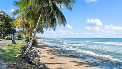 Beachfront Condo at Villarenas Resort Apartment in Puerto Rico