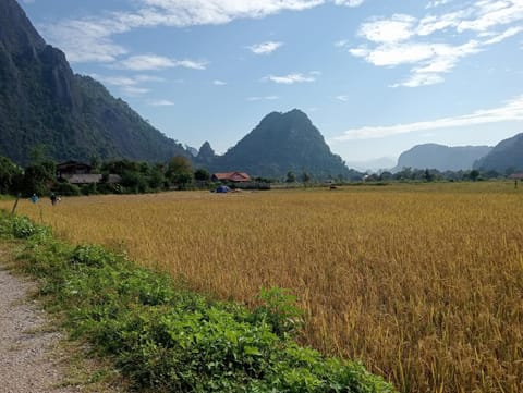 Nearby landmark, Natural landscape, Garden