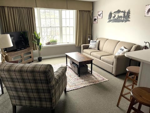 Mountain View Suite at Jiminy Peak - Ski On Off - Near Elevator Pool and Lobby Apartamento in Lanesborough