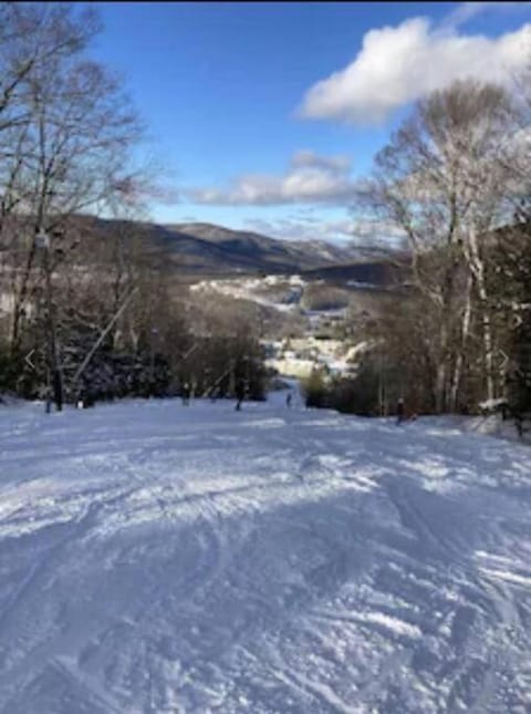 Mountain View Suite at Jiminy Peak - Ski On Off - Near Elevator Pool and Lobby Appartamento in Lanesborough