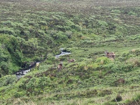 An Cois Na H-Aibhne Apartment in Scotland