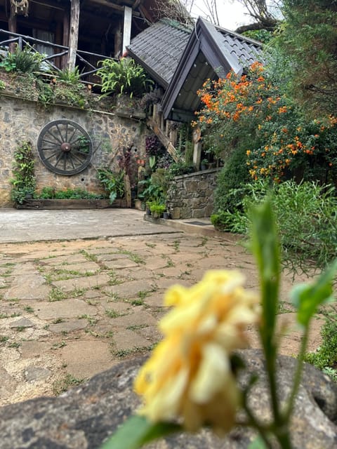 Property building, Garden, Garden view