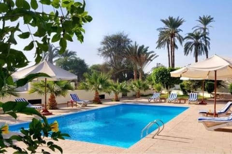 Visit Luxor Egypt Bed and Breakfast in Luxor