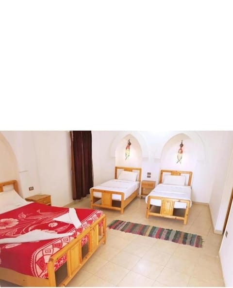 Visit Luxor Egypt Bed and Breakfast in Luxor