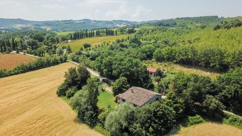 Bird's eye view, Garden