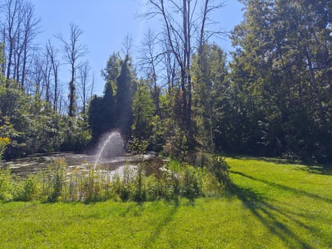 Garden, Garden view