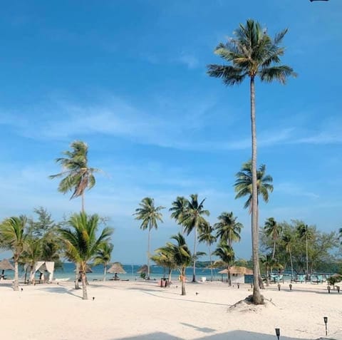 The Beach Resort Resort in Sihanoukville