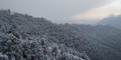 Hues & Trails Ground Zero Apartment in Shimla