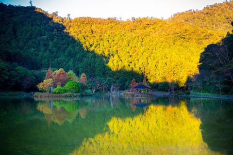 Natural landscape, Lake view, Mountain view