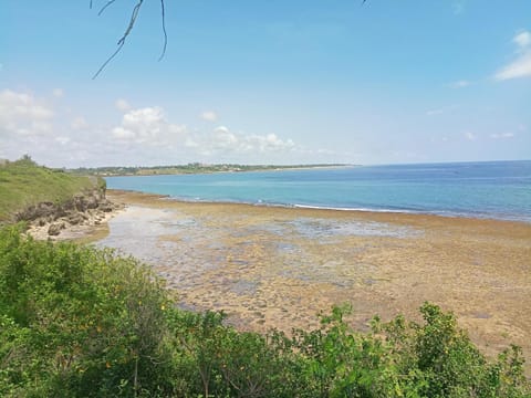 Huge 8 Bedroom Beachfront Villa Villa in Kilifi, Kenya