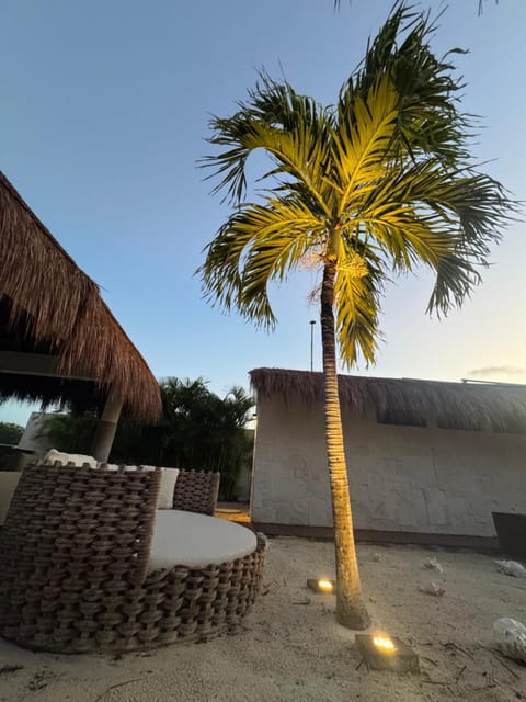 Patio, Day, Balcony/Terrace