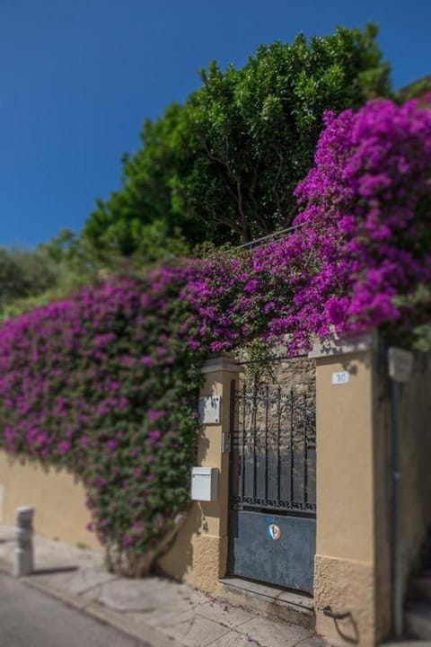 Villa Monaco border above Beach idyllic position Chalet in Cap-d'Ail