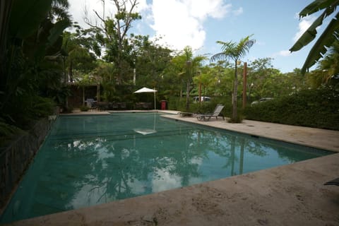 Day, Garden, Garden view, Pool view, Swimming pool, sunbed