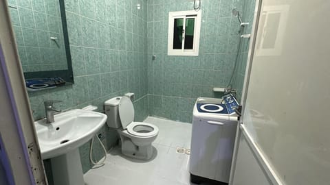 Shower, Toilet, Bathroom, bidet