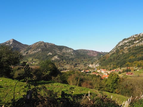 Property building, Off site, Natural landscape