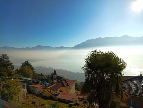 Natural landscape