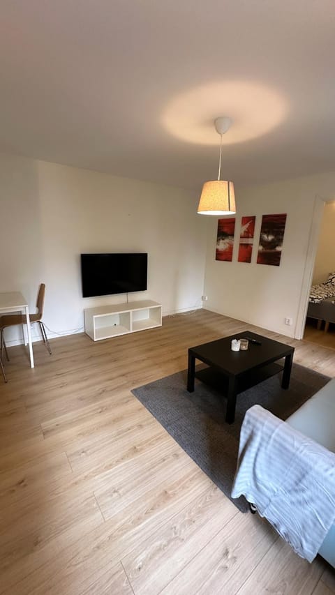 TV and multimedia, Living room, Photo of the whole room, Seating area