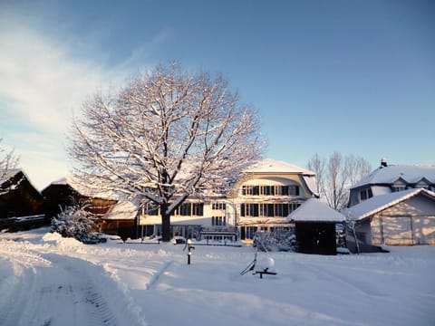 Property building, Natural landscape, Winter