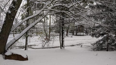 Meadowcroft Estate House in Chatham-Kent