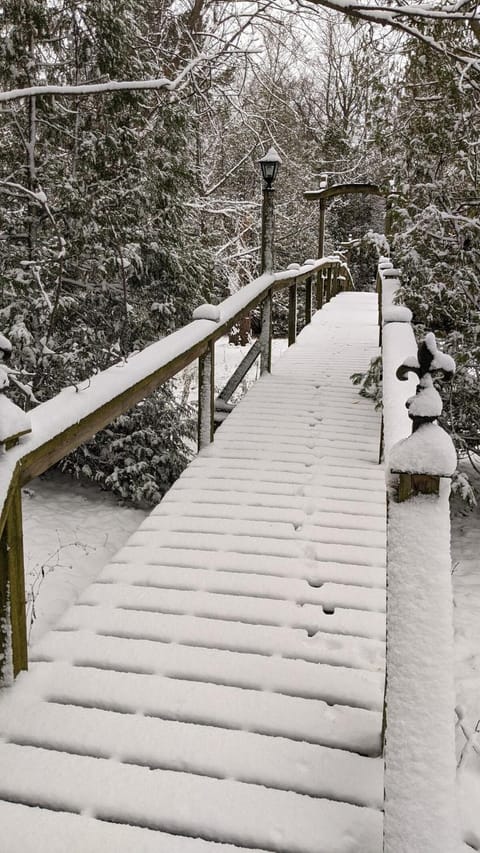 Natural landscape, Winter