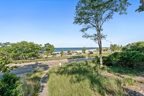 Beautiful Beach Cottage across from Park Maison in Grand Haven