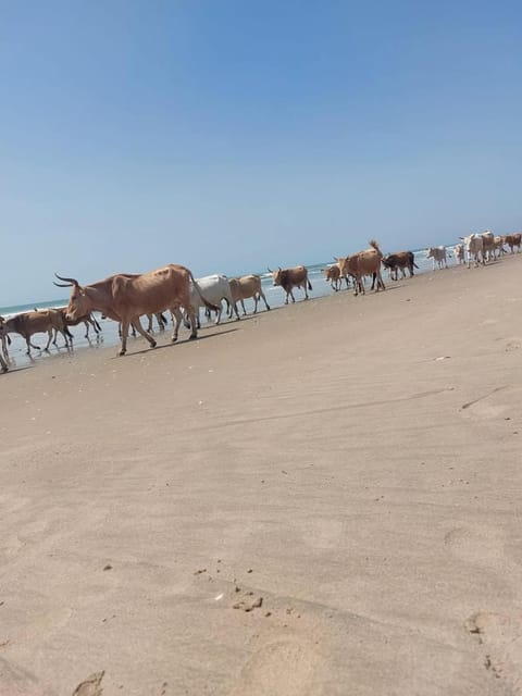 Abene bolong Bed and Breakfast in Dakar