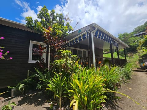 Property building, Garden view