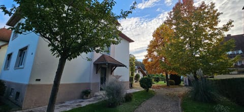 Property building, Garden view