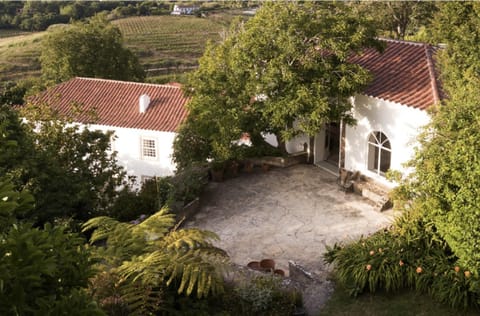 Garden, Garden view, Landmark view