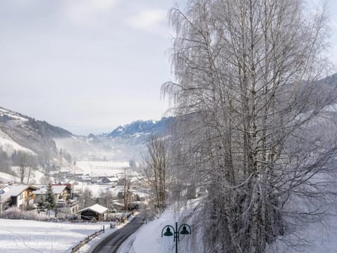 Winter, View (from property/room)