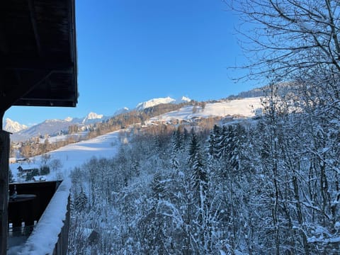 Natural landscape, Winter, Balcony/Terrace, Mountain view