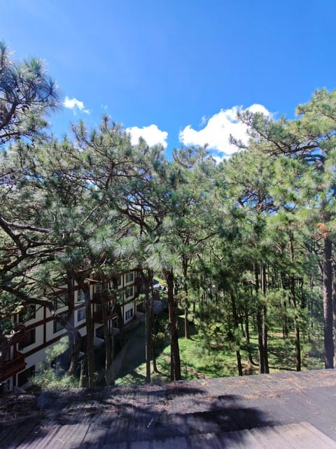 Natural landscape, View (from property/room)