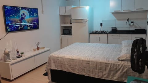 Bed, TV and multimedia, Kitchen or kitchenette, Photo of the whole room, Bedroom, stove