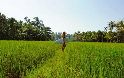 Utopia Varkala - Boutique stay in Odayam rice fields Hotel in Varkala