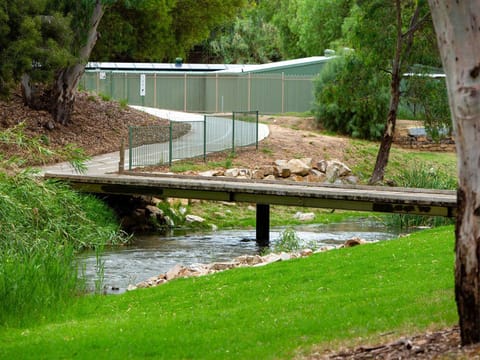 Garden, Lake view