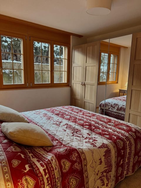 Winter Chalet Apartment Apartment in Canton of Vaud