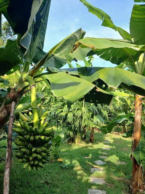 El cielo Buritaca Country House in Magdalena, Colombia