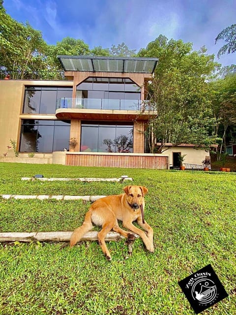 Casa Fénix en Calima, Valle del Cauca, Colombia House in Calima