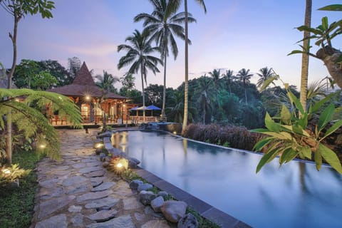 Natural landscape, Garden, Pool view, Swimming pool