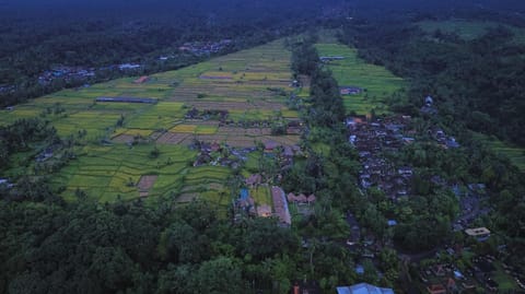 Natural landscape, Bird's eye view