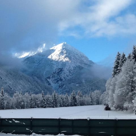 Natural landscape, Winter