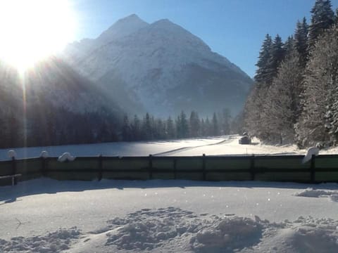 Natural landscape, Winter